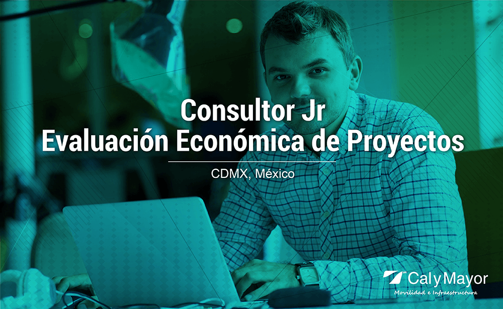 Consultor Jr. en Evaluación eeconomica de proyectos