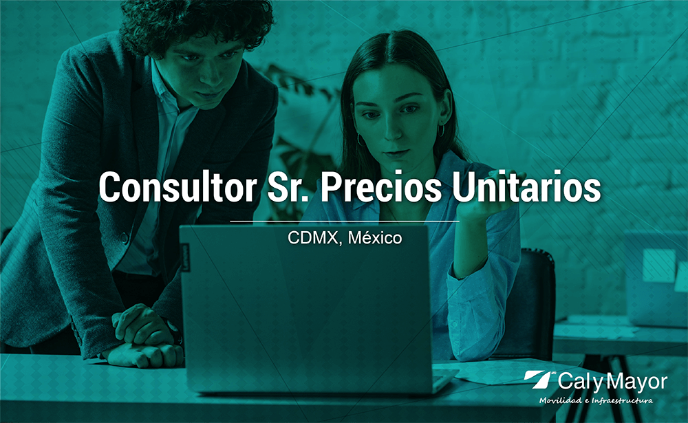 Consultor Sr. precios unitarios