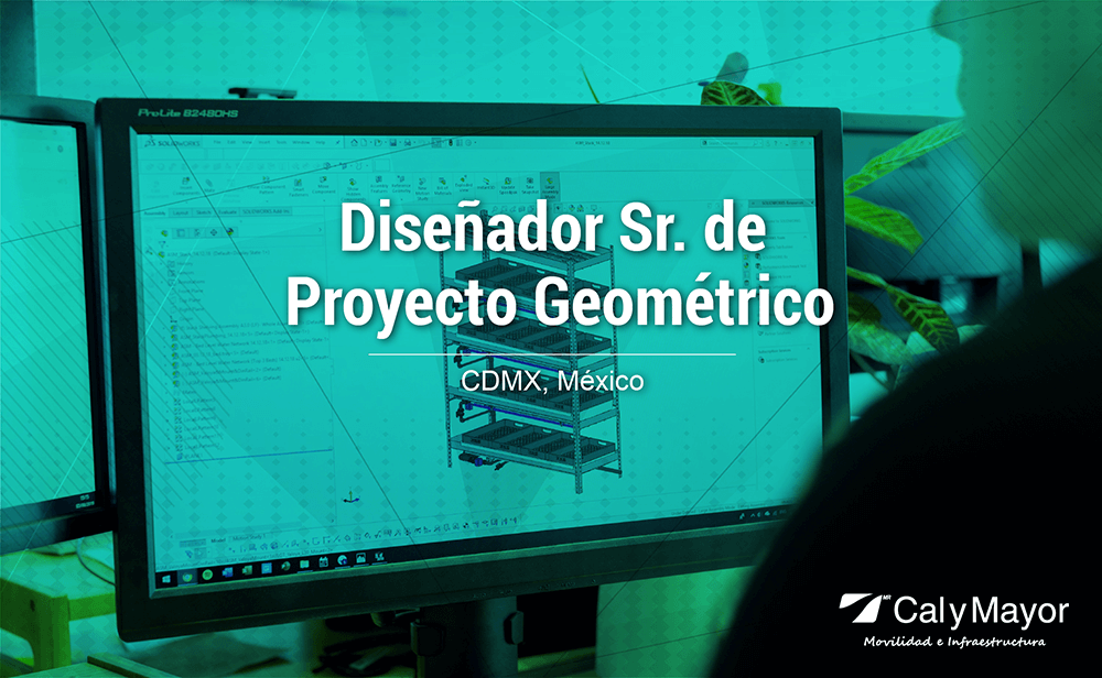 Diseñador Sr. Proyecto Geométrico