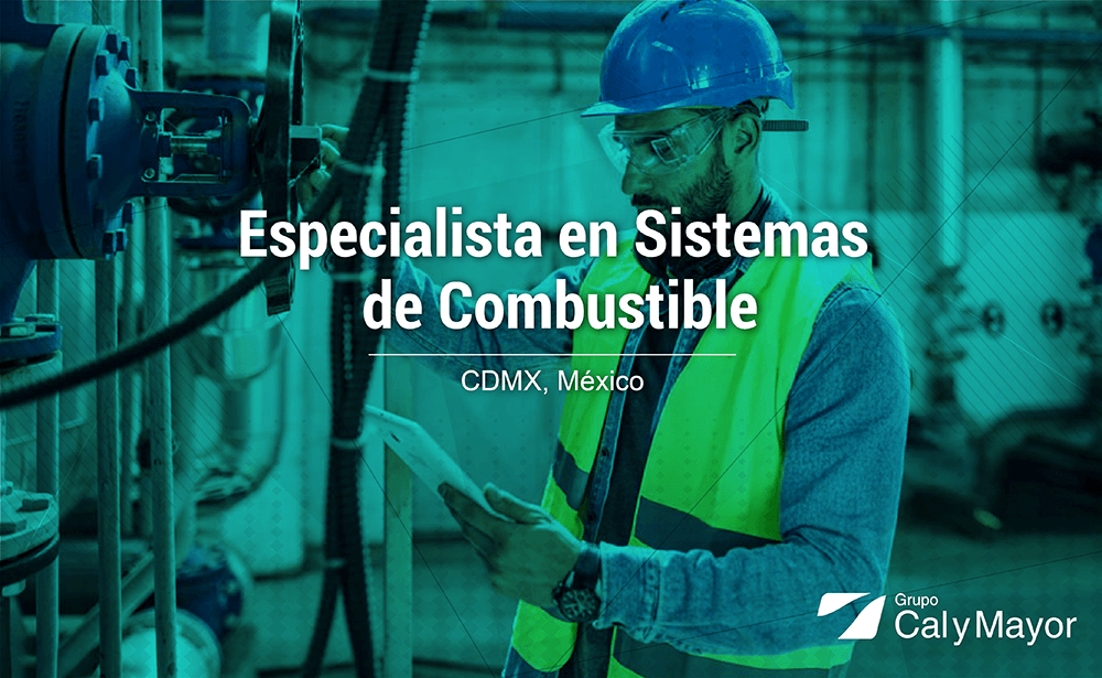 Especialista en Sistemas de combustible